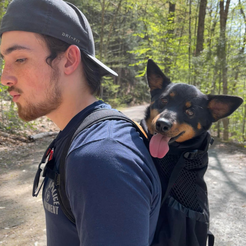 Teddy, a Lancashire Heeler, sometimes catches a ride in his backpack when he is on a long hike.